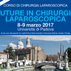 Suture in chirurgia laparoscopica Univ. Padova 2017 Suture in chirurgia laparoscopica Univ. Padova 2017